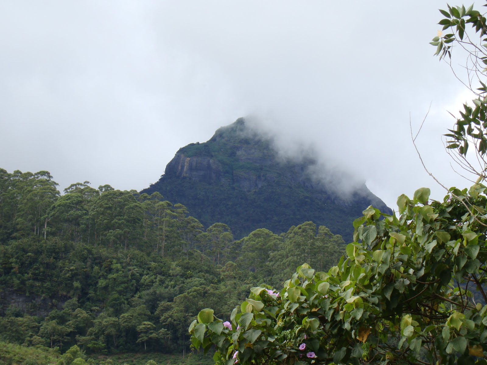 වැලිවිට හන්දිය: yako samonola kanda kiyanne piduruthalagalata...
