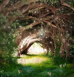fairy way path celtic faeries orbs forest enchanted magical fairies garden magic woods faerie lights portal enchanting fairytale through tree