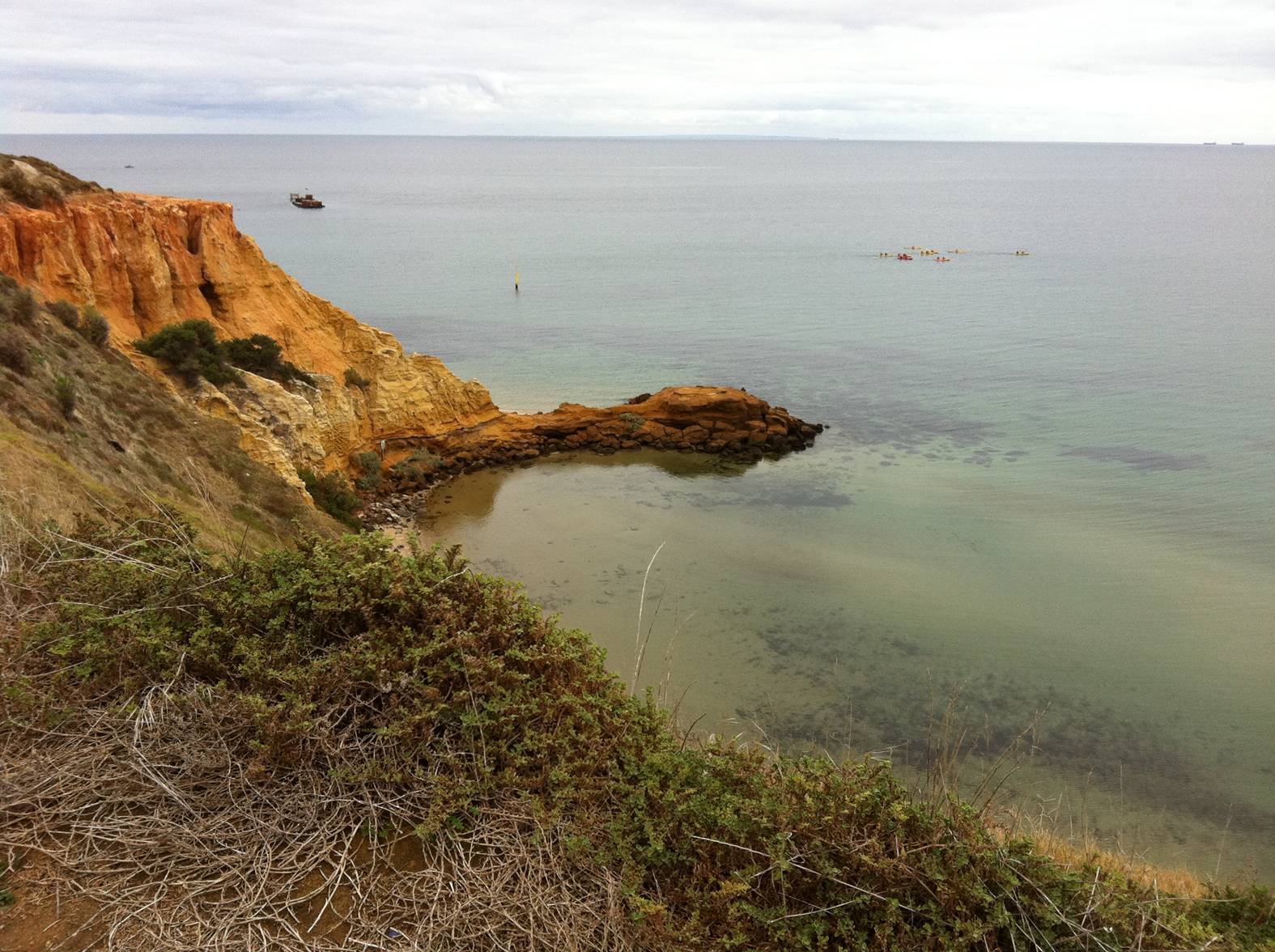 House Sits Blog Port Phillip Bay Housesit