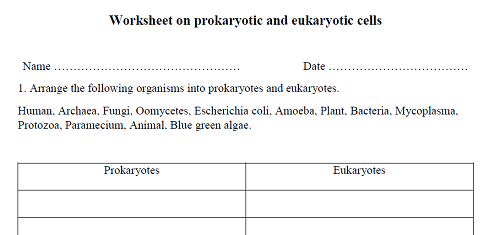 Prokaryotes Vseukaryotes Worksheet : Prokaryotes Vs Eukaryotes Graphic