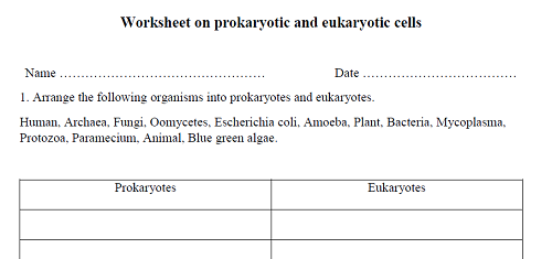Prokaryotes and Eukaryotes Worksheet | Prokaryotic vs Eukaryotic Cells 