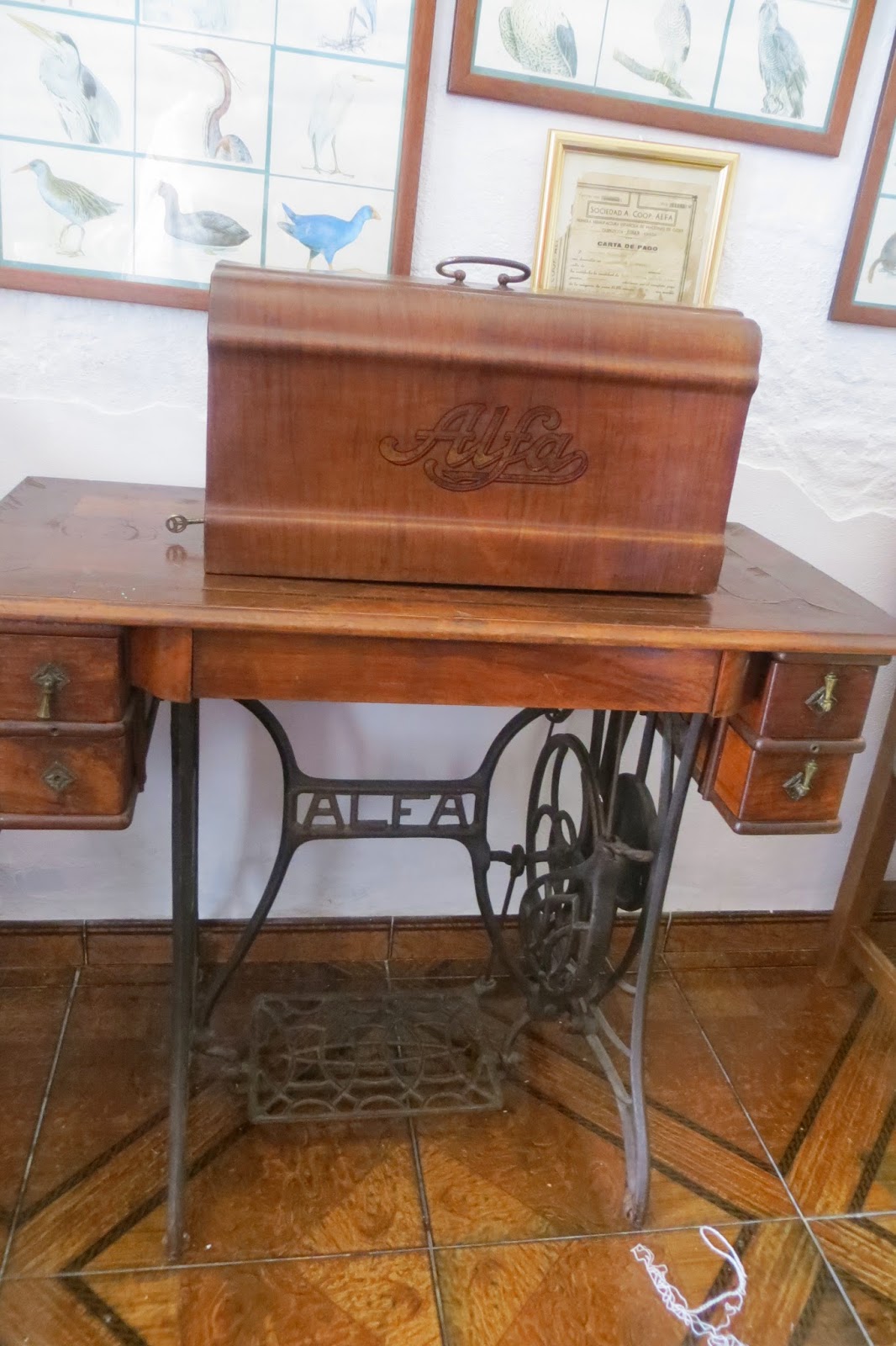 CPR.BEMBEZAR: LOS PATIOS DE CÉSPEDES EN LA PRIMAVERA DEL AÑO 2014