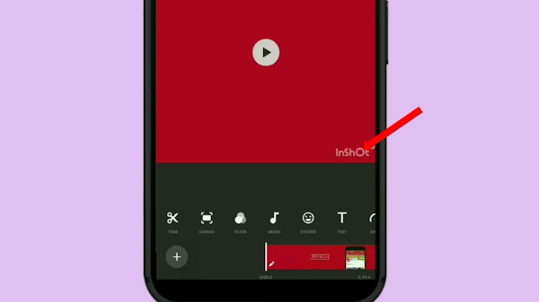 How to Remove InShot Watermark from Video for Free