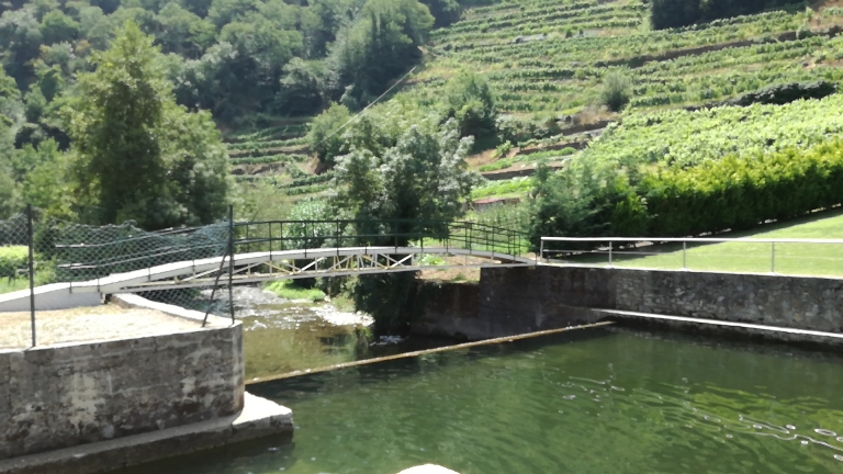 PRAIA FLUVIAL DE FORNELOS SANTA MARTA PENAGUIÃO VILA REAL 2025