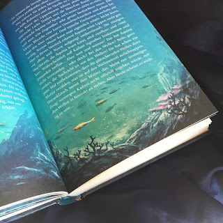 "Rulantica: Die verborgene Insel" Autor: Michaela Hanauer Illustrationen: Helge Vogt Verlag: Coppenrath, Rezension Kinderbuchblog Familienbuecherei