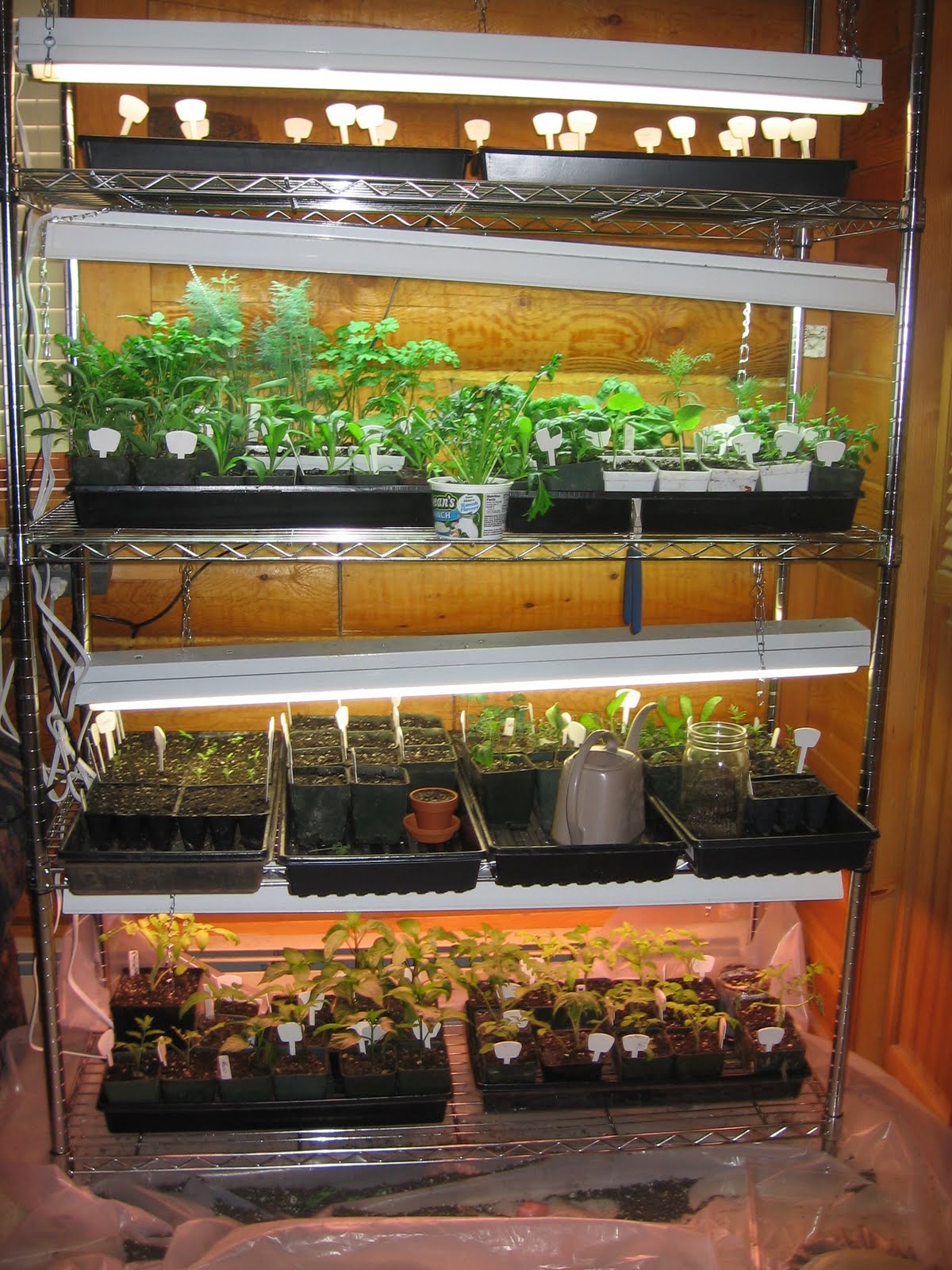 Homemade Alaska Seed starting and advice for new gardeners