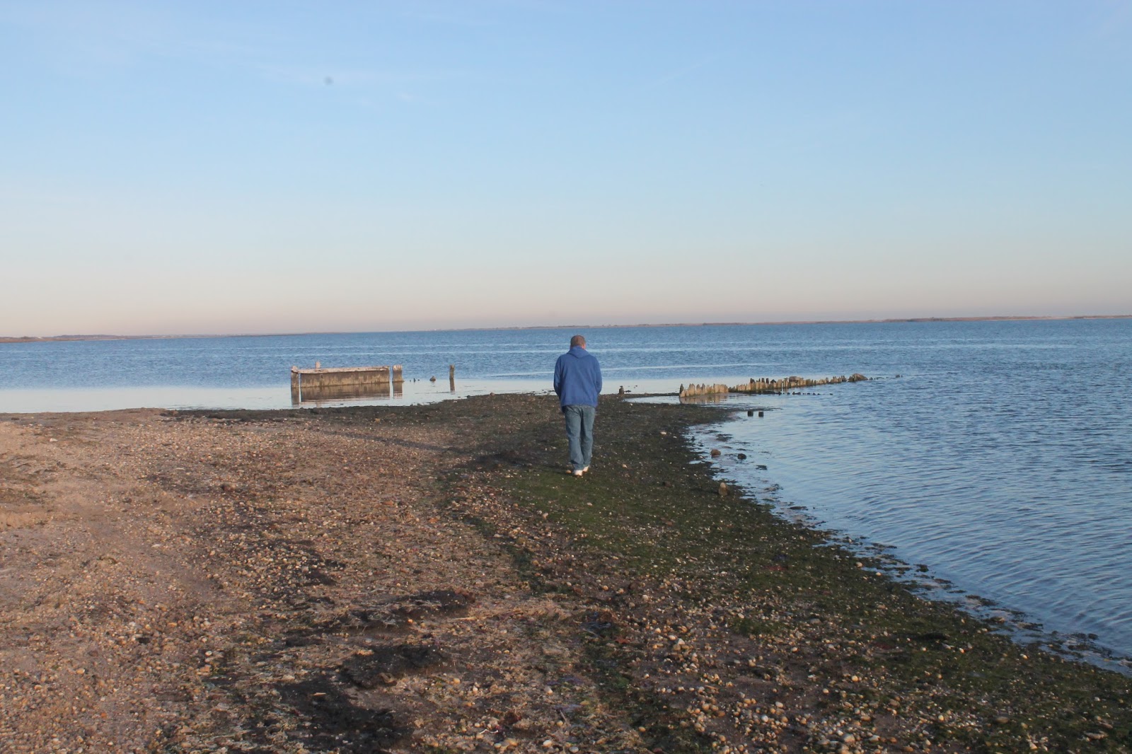 The Natural World of Mastic Beach
