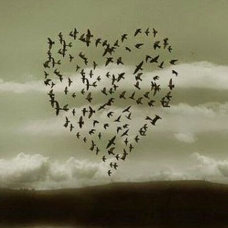 Love Birds 2 Wallpaper