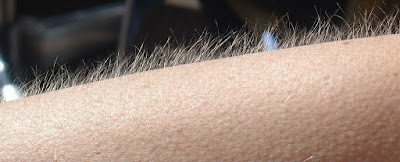 music and goose bumps