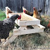 How to make a DIY "Chicknic Table" - Plans and step-by step directions to make a picnic table for your chickens