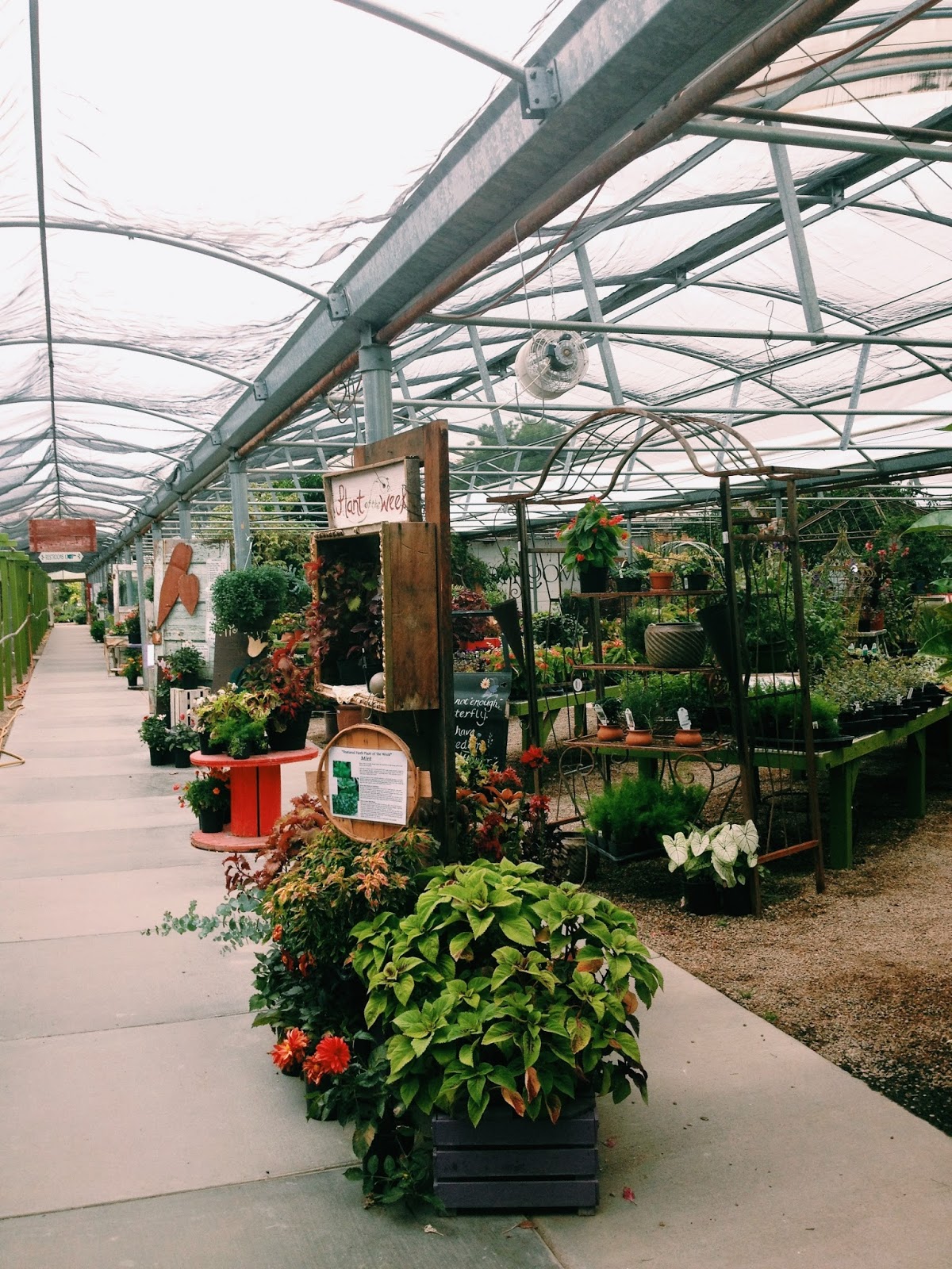 fivetenfifteen edwards greenhouse, boise