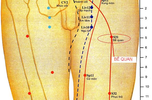 Vị trí huyệt bễ quan