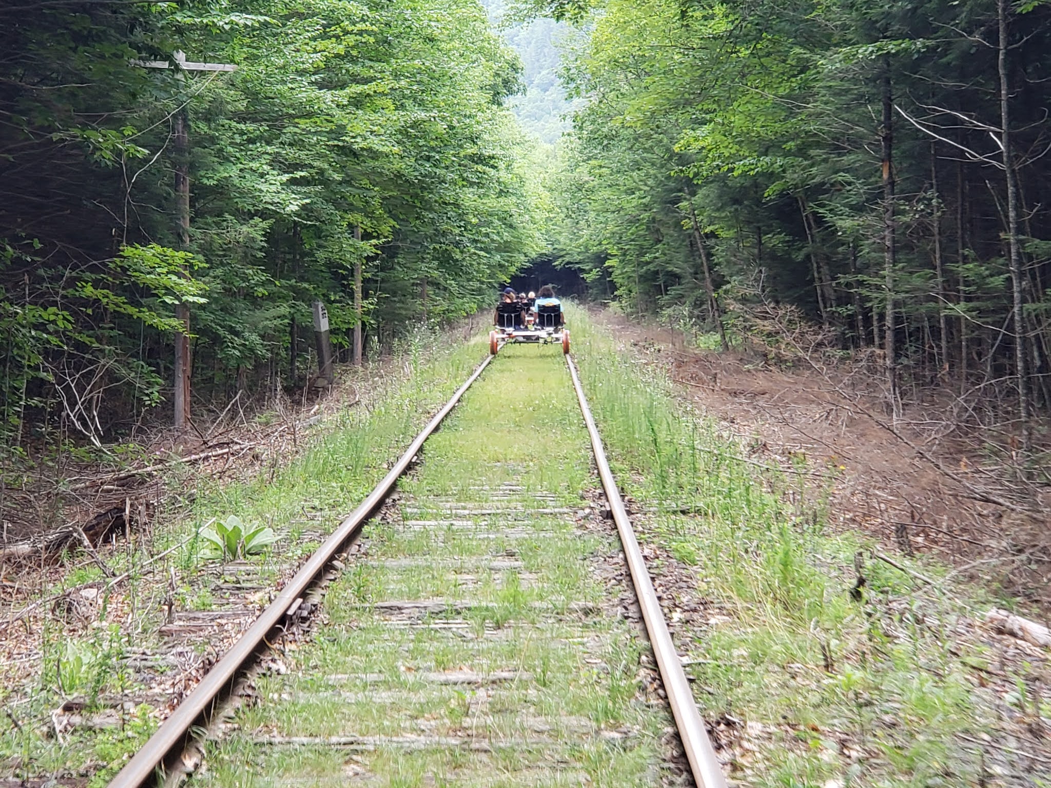 Mark's Bike Tock Ridin' the Rails