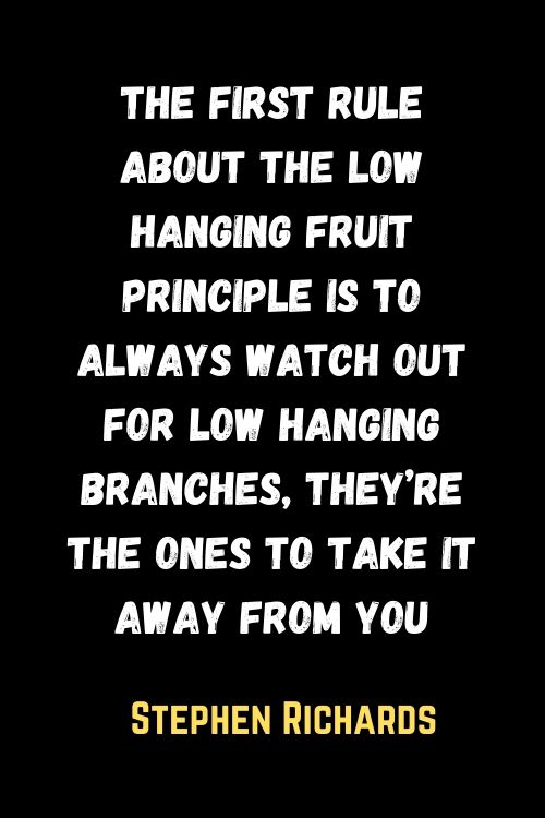 Law Of Attraction Quotes Images