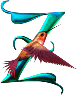 Abecedario de Colibrí. Hummingbird Alphabet.
