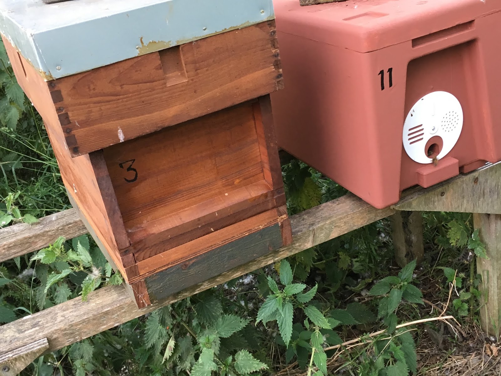 Woodside Apiary Locally bred honey bee nucs for sale