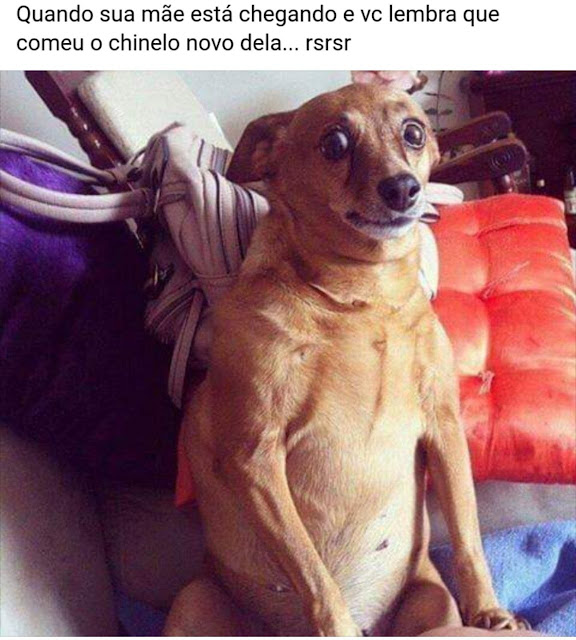 Memes engraçados Memes engraçados