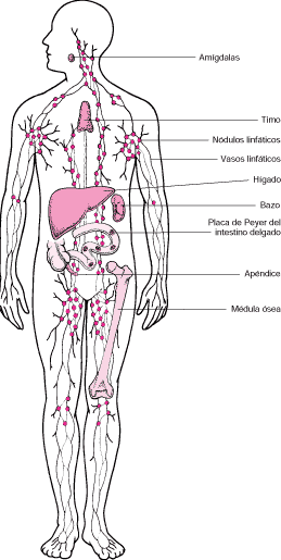 Limpia aura para todo fluya vida