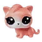 Littlest Pet Shop Keep Me Pack Big Pet Shop Windswept (#No#) Pet