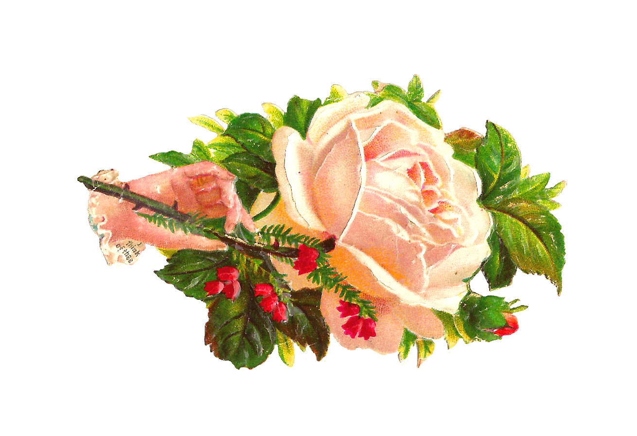 free clip art victorian flowers - photo #3