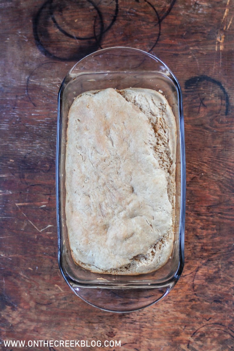 I Made Reddit Peanut Butter Bread