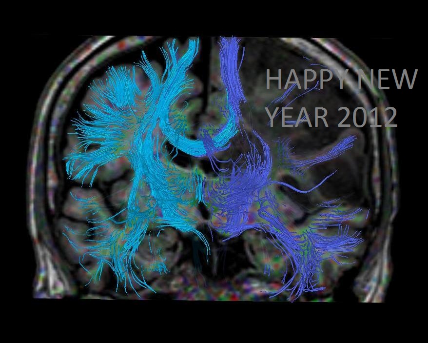 New Year Card Radiologist Style Sumer's Radiology Blog