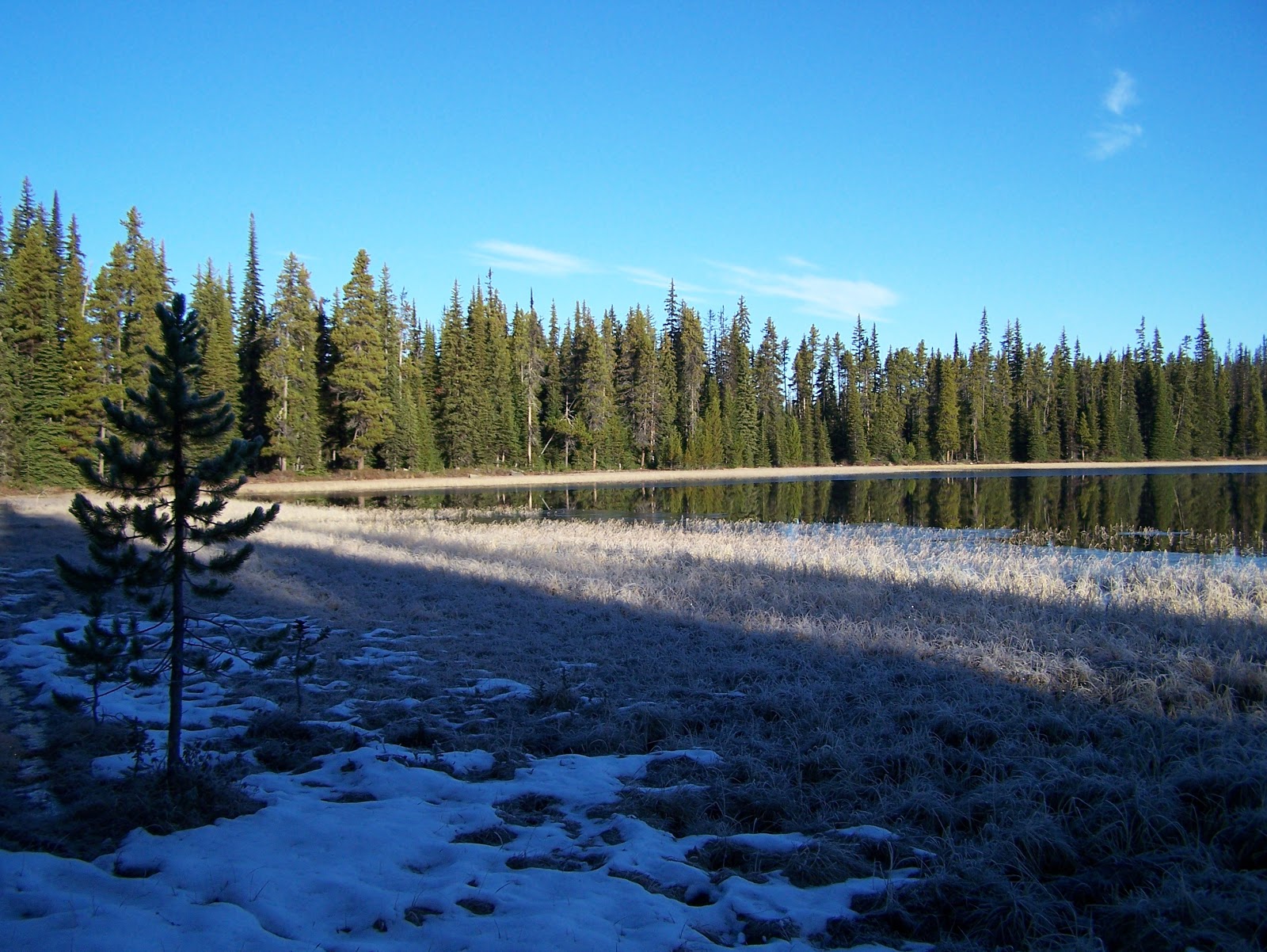 Lakes,Trails and Tales of the Golden Triangle Reed Lake