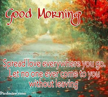 50 Beautiful Good Morning Quotes and Saying 50 Beautiful Good Morning Quotes and Saying