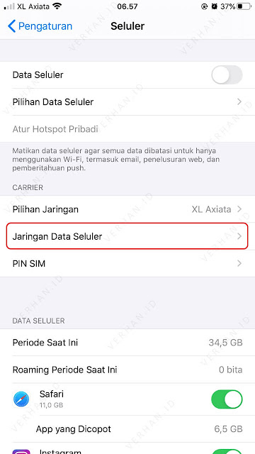 setting jaringan data seluler iphone