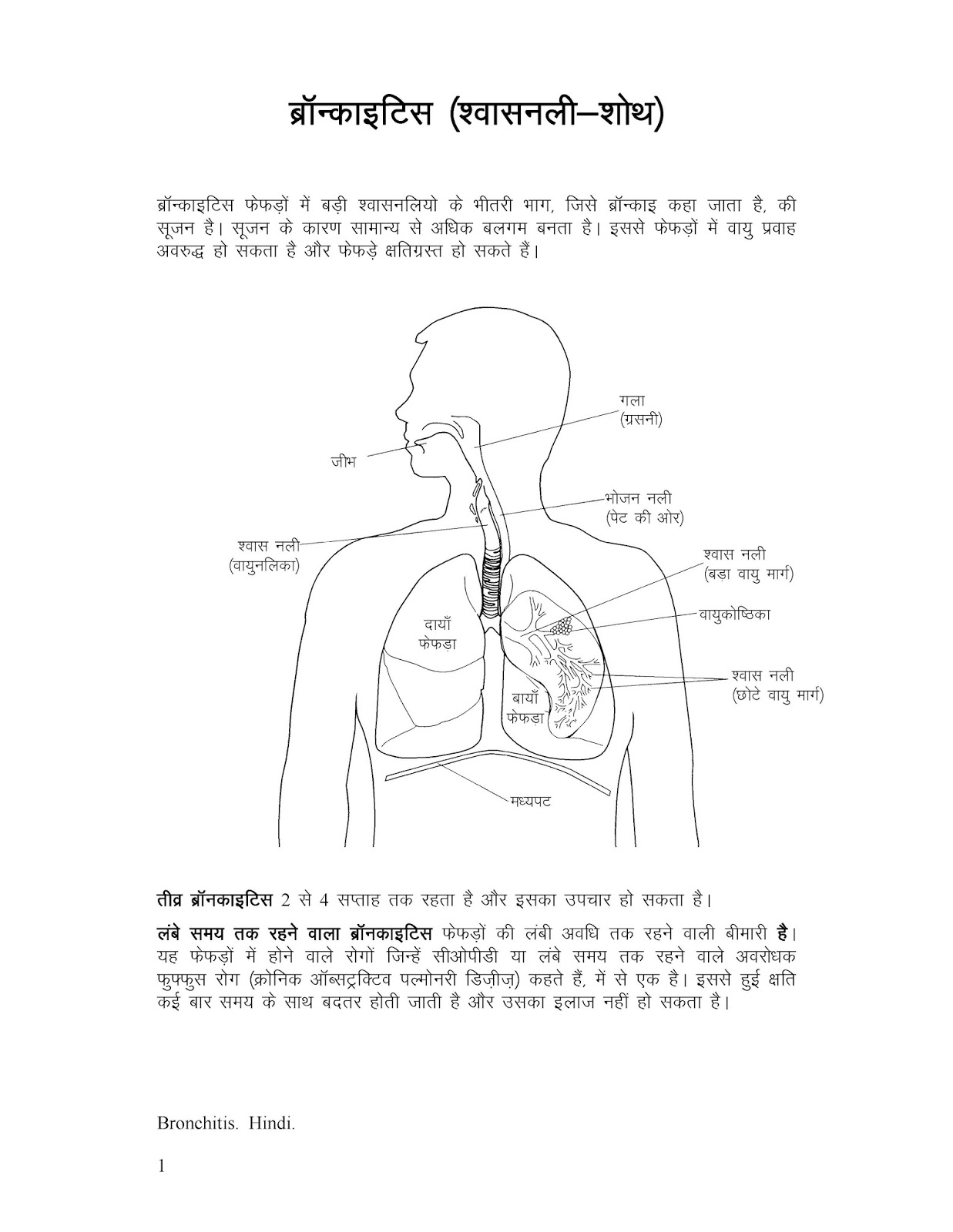 Bronchitis English & Hindi Health