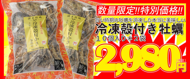 冷凍殻付き牡蠣２０個入り