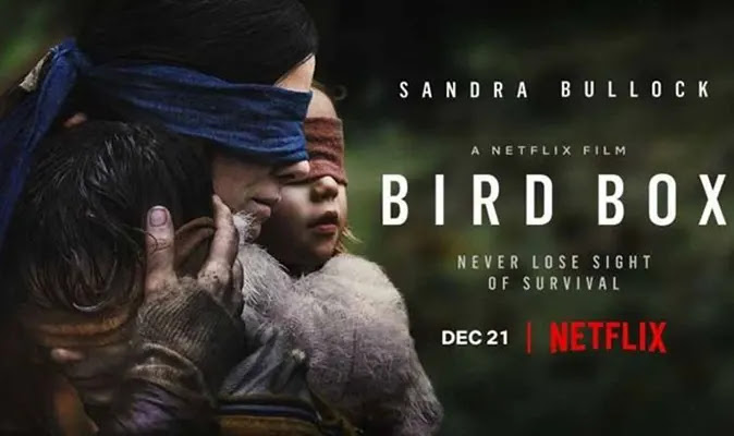 Sandra Bullock in Bird Box