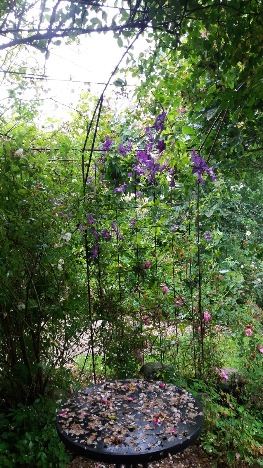 Lad romantikken blomstre: vidunderlig rosentur til kegnæs og ... Rosenbue med bænk