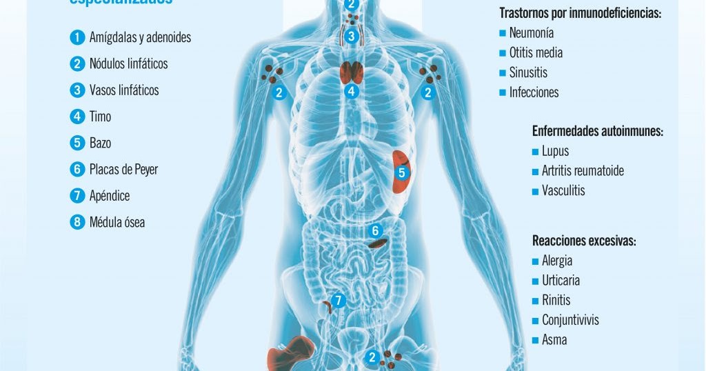 ALTERACIONES DEL SISTEMA INMUNOLÓGICO