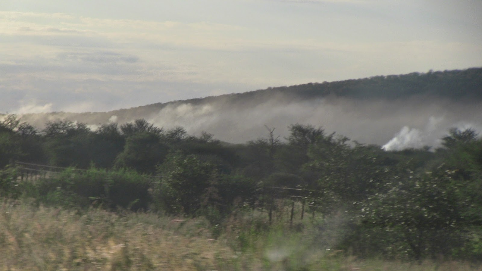 Ugab Terassen in Namibia: Holzkohle Produktion in den Ugab Terassen