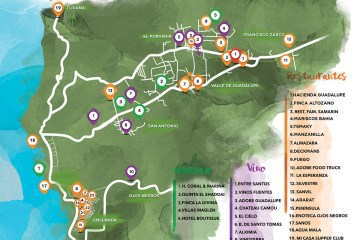 Valle De Guadalupe Wine Map