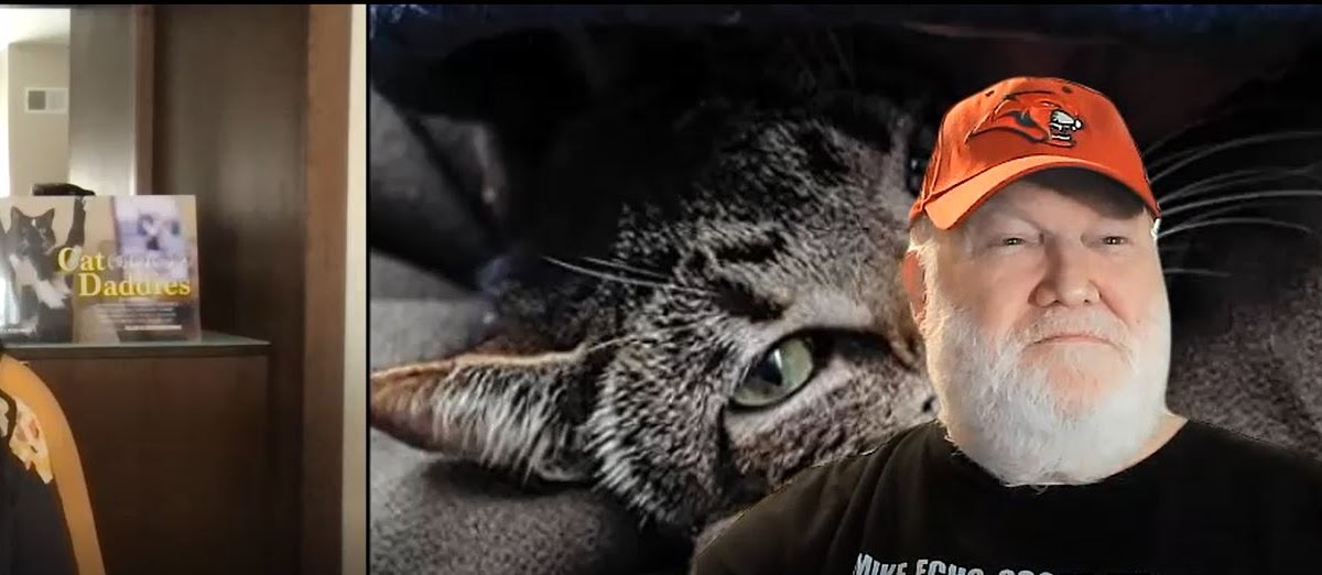 The Moving Picture Blog: Zooming with Mye Hoang — Director of the A