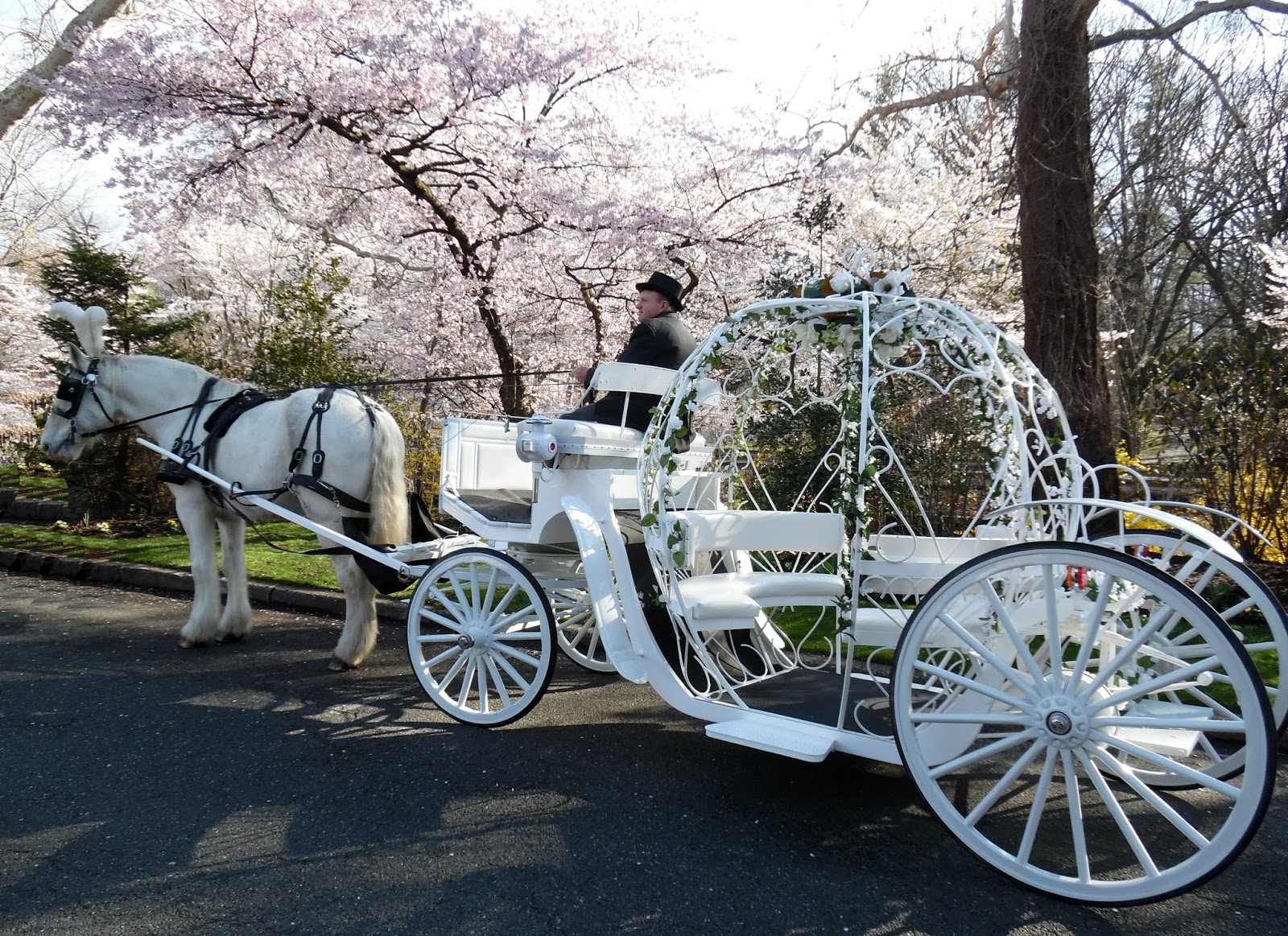 Dream Horse Carriage CompanyDream Horse Carriage Company Home of the