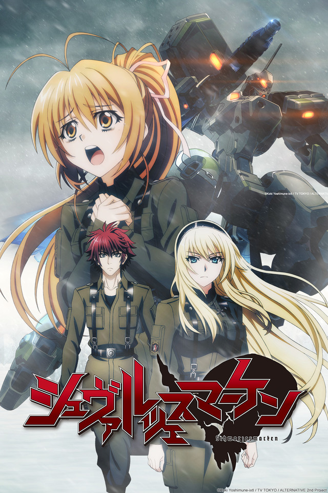 Animes Español Latino: Schwarzesmarken Español Latino (Episodios 12/12