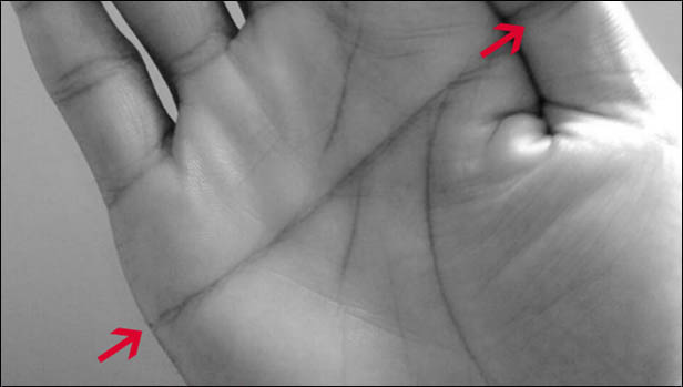 5 Sifat Arti Garis Tangan Lurus menurut Primbon Mujarobat