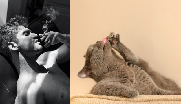 Cute Kittens and Handsome Men Paired Up On Tumblr3