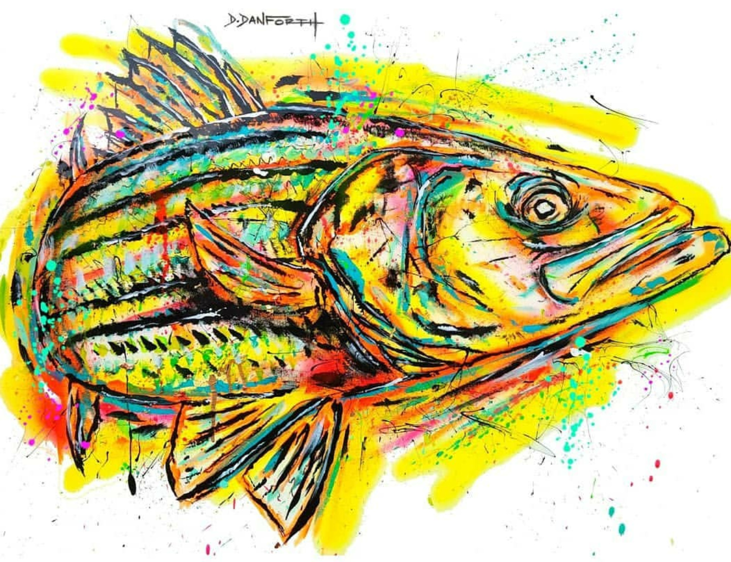 A Multitude Of Fins Striped Bass Illustrations & Wildlife Art