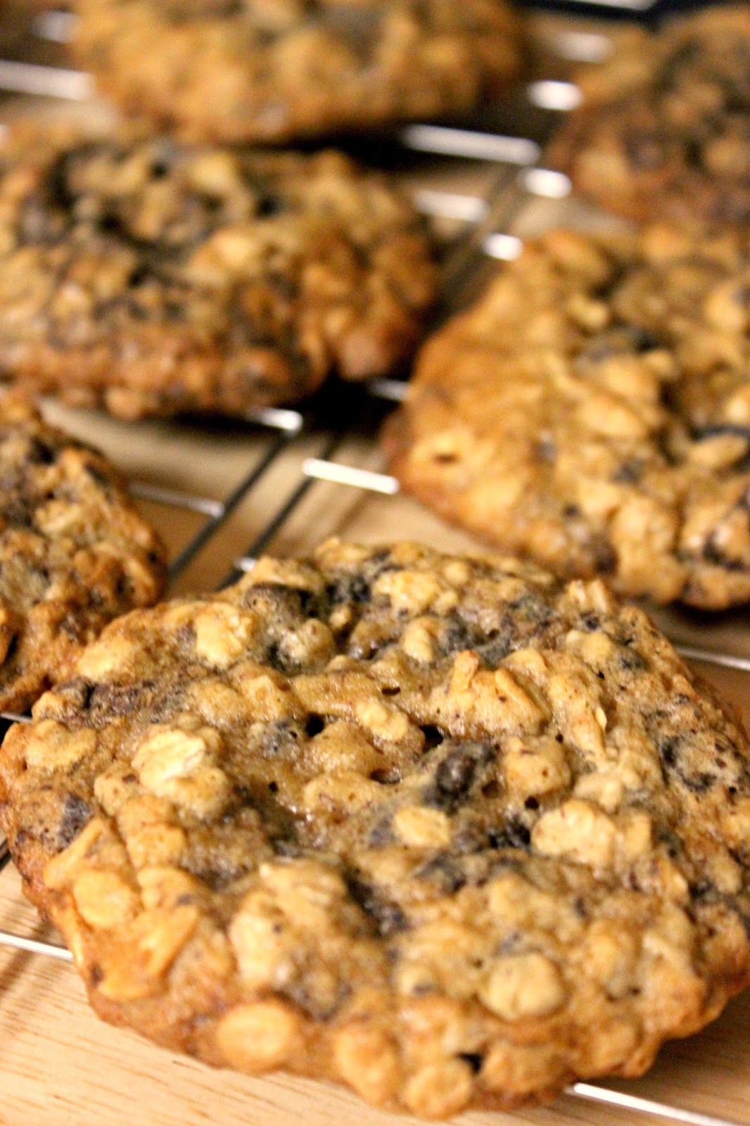 Monster Chocolate Oatmeal Cookies A Bountiful Love