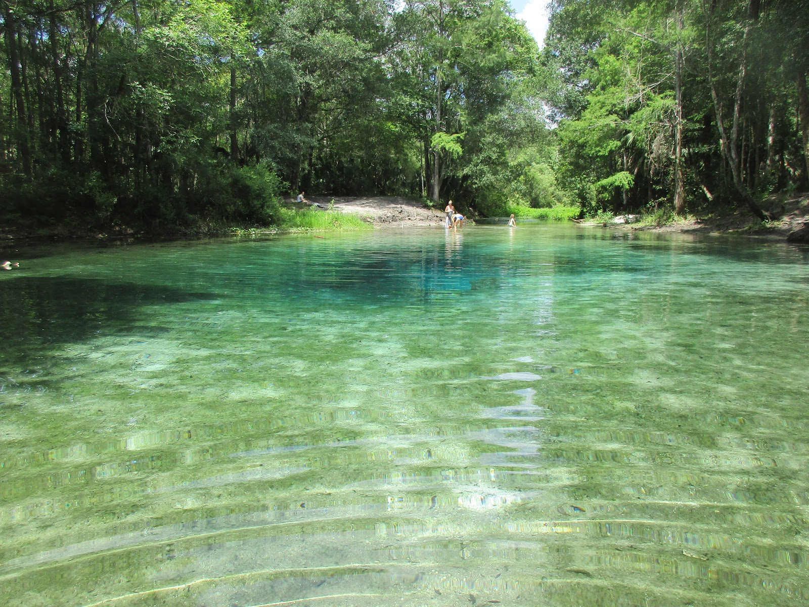 Dave's Yak Tales Gum Slough, Withlacoochee River, Big Blue Spring