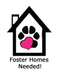 STORYWRAPS: My Furry Foster Family- Truman the Dog- a bookwrap
