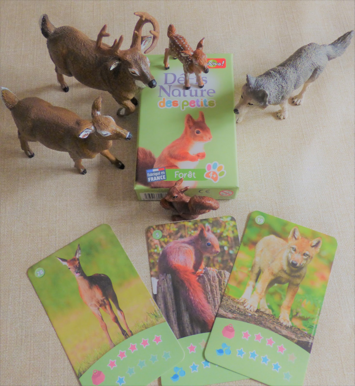 Defis Nature Des Petits Jouons Avec Les Animaux De La Foret Petits Genies En Herbe