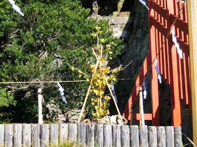 鶴岡八幡宮の紅葉