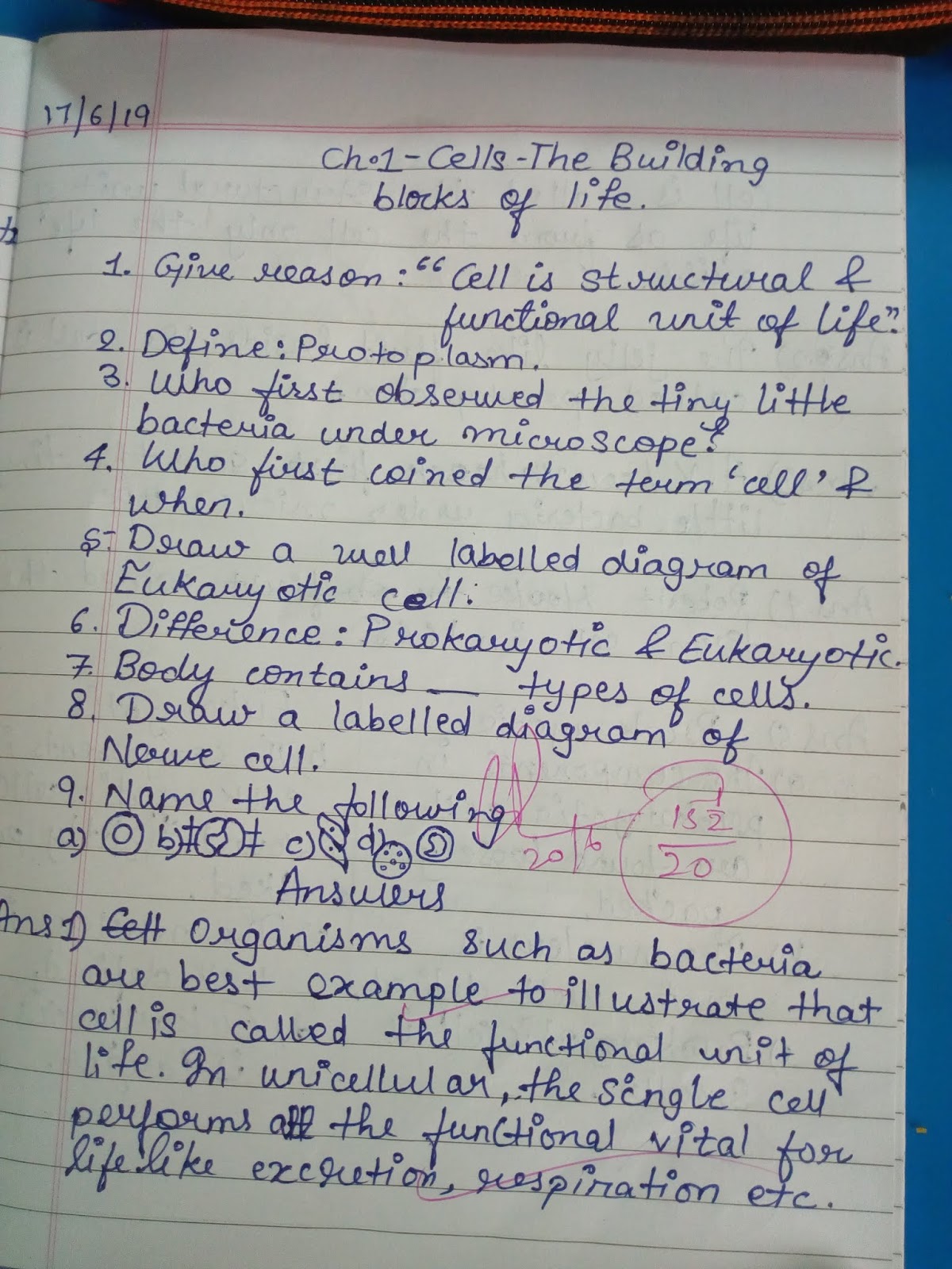 Individual organism definition picture