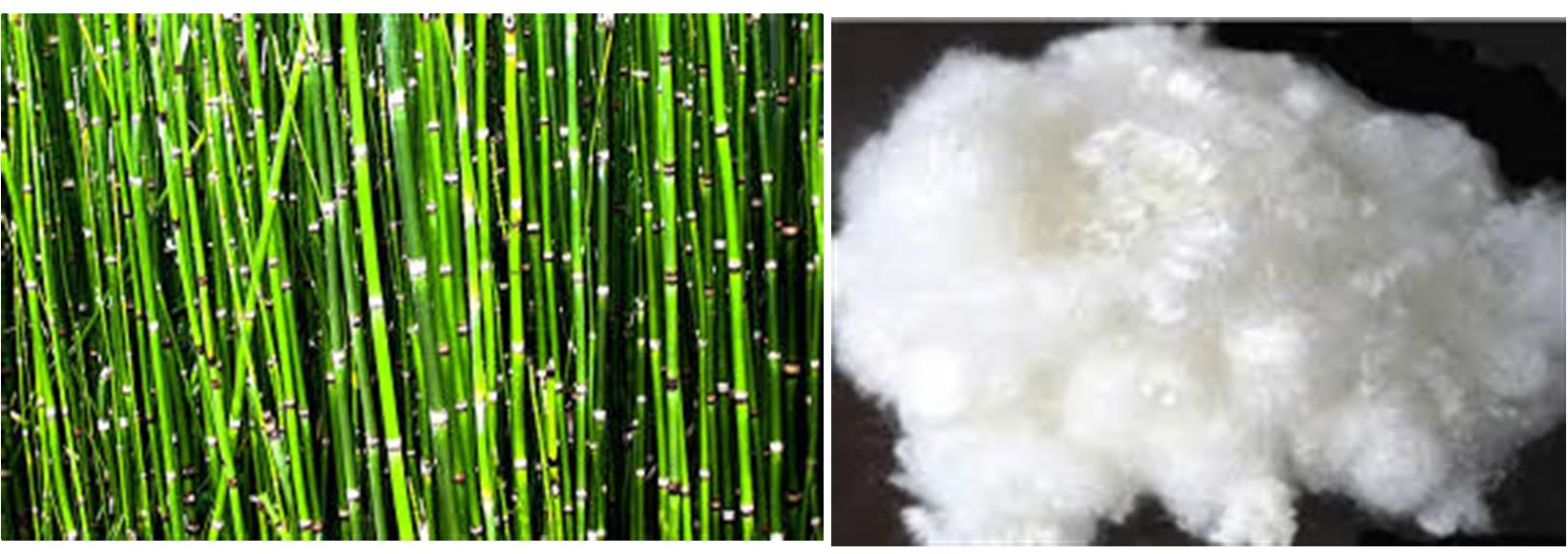 Properties Of Viscose Rayon Fibre 205 x 163 jpeg 38 kb. properties of viscose rayon fibre