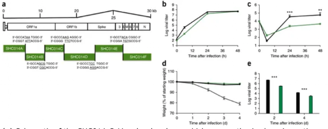 Screen%2BShot%2B2020 04 19%2Bat%2B1.04.23%2BAM